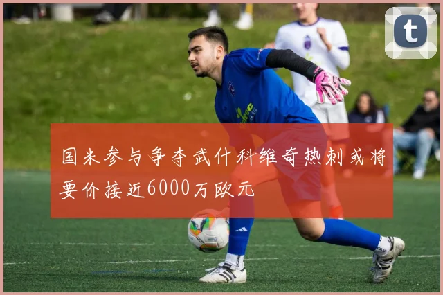 国米参与争夺武什科维奇热刺或将要价接近6000万欧元