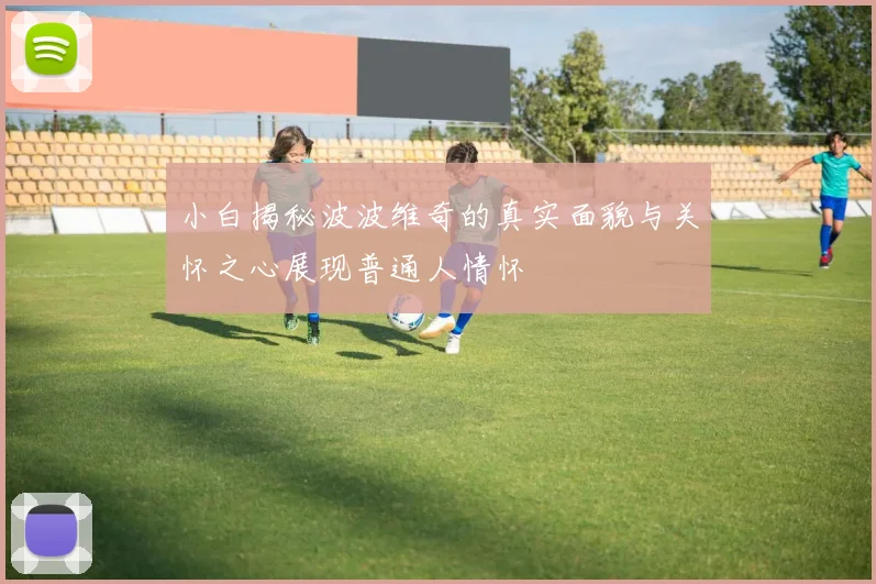 小白揭秘波波维奇的真实面貌与关怀之心展现普通人情怀